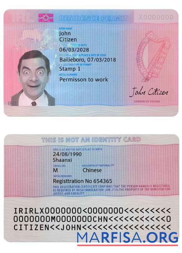Blank Ireland residence permit example